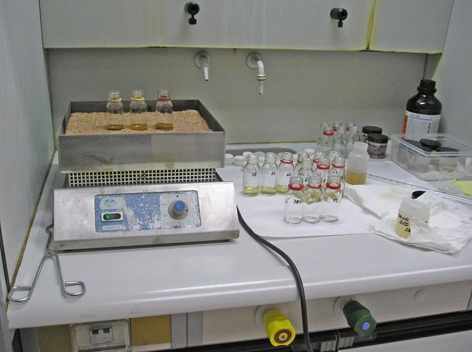 Mineralización de las muestras, en un laboratorio de la Estación Experimental del Zaidín (FUNDACIÓN DESCUBRE)