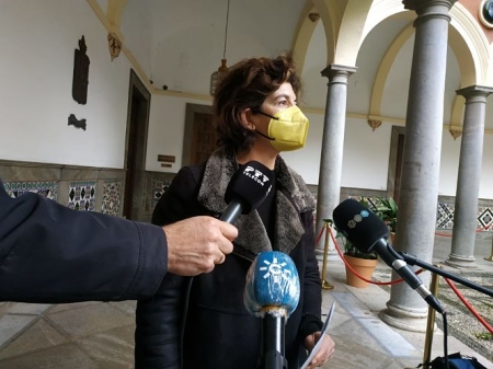 La concejal de Podemos-IU en el Ayuntamiento de Granada, Elisa Cabrerizo (PODEMOS-IU)