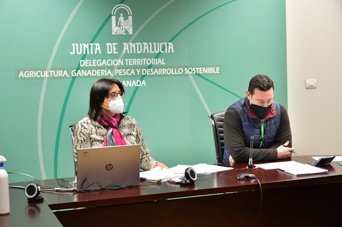 Imagen de la reunión (JUNTA) 