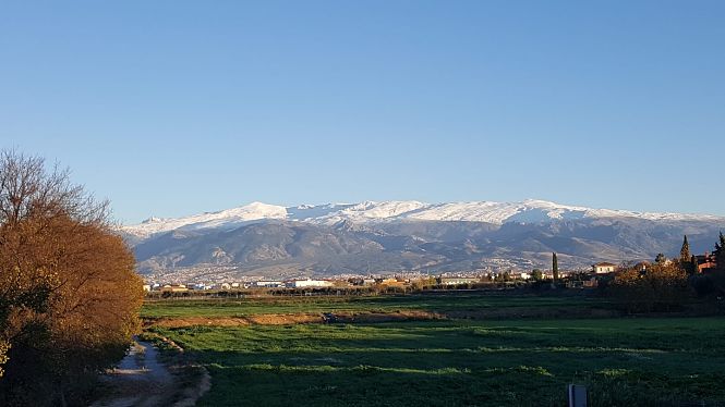 Imagen de Cúllar Vega (AYTO. CÚLLAR VEGA)