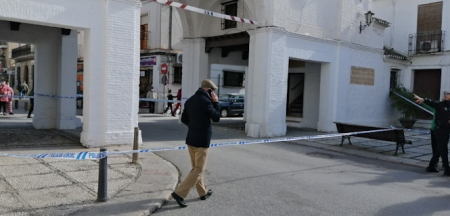 Uno de los arcos de Santa Fe se ha visto afectado por el seísmo JOSÉ M. BALDOMERO)