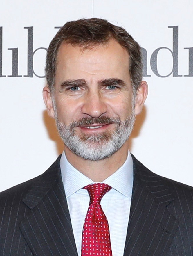 Su majestad, el Rey de España, Felipe VI (WIKIPEDIA) 