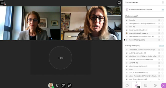 Imagen de la sesión telemática (JUNTA) 