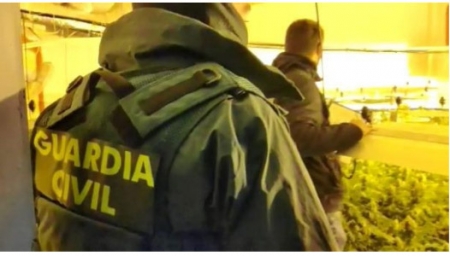 Agente de la Guardia civil en una de las plantaciones (GUARDIA CIVIL)