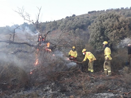 Bomberos del Infoca trabajando en la zona del incendio (INFOCA) 