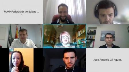 Imagen de las jornada telemática de la FAMP (AYTO. MONACHIL)