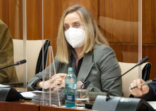 La Consejera de Fomento, Marifrán Carazo (JUNTA) 