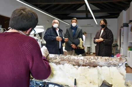 Imagen de la restauración del mastodonte (AYTO. BAZA) 