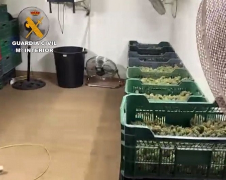 Operación Daorders (GUARDIA CIVIL) 