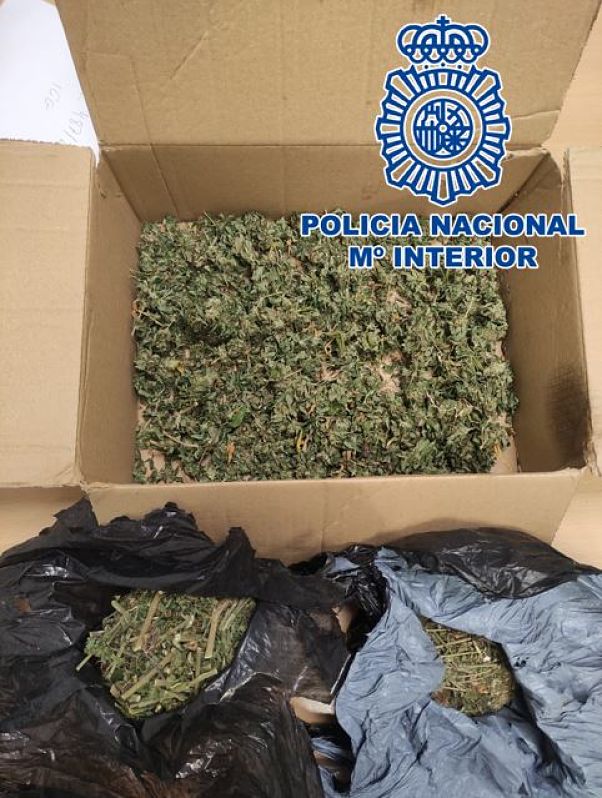Imagen de la marihuana incautada (POLICÍA NACIONAL) 