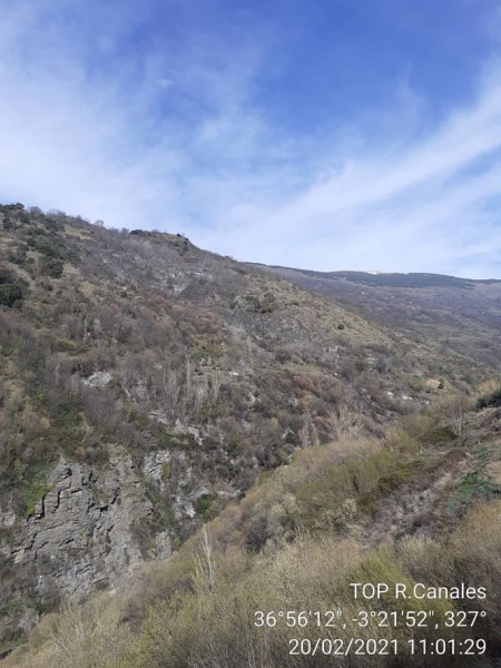 Lugar donde se ha producido el incendio (INFOCA)