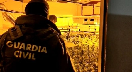 Agentes de la Guardia Civil en una de las plantaciones (GUARDIA CIVIL)