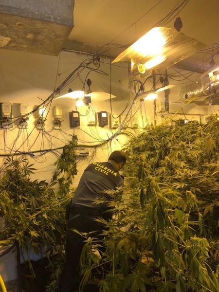 Un agente de la Guardia Civil en una de las plantaciones (GUARDIA CIVIL)