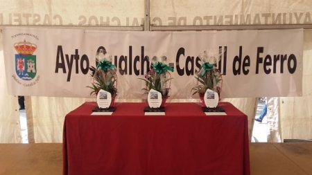 Galardones que se entregaran durante el Día de Andalucia (AYTO. GUALCHOS)