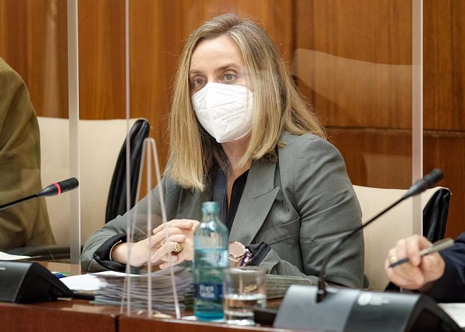 La consejera de Fomento, Infraestructuras y Ordenación del Territorio, Marifrán Carazo, en imagen de archivo (ALFREDO DE ANCA) 