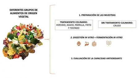 JUNTA DE ANDALUCIA