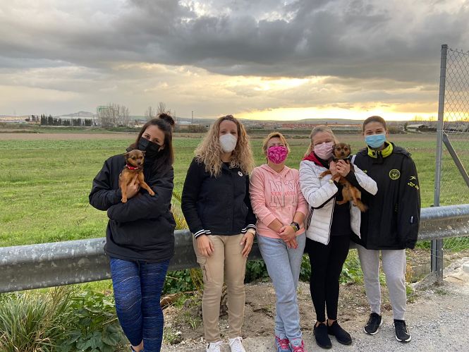 Algunas de las voluntarias de la Agrupación de Protección Animal de Vegas del Genil (AYTO. VEGAS DEL GENIL) 