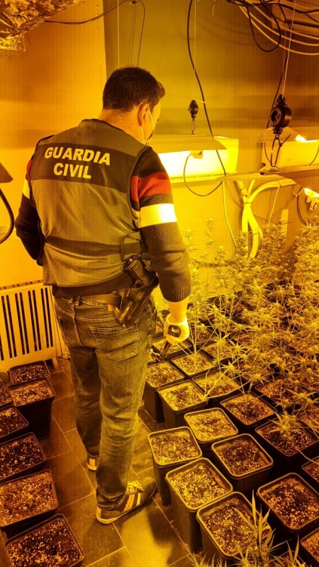 Agente de la Gaurdia CIvil en una de las plantaciones (GUARDIA CIVIL)