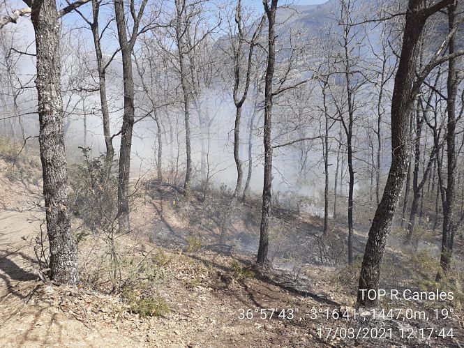 Lugar donde se ha producido el incendio (INFOCA)