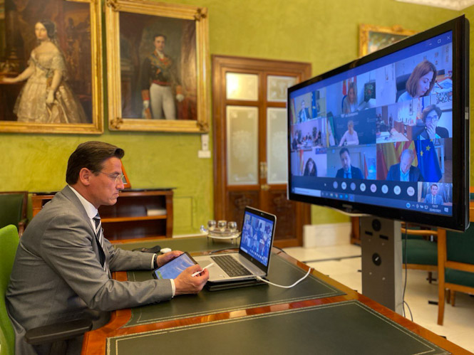 Imagen de la reunión telemática (AYTO. GRANADA) 
