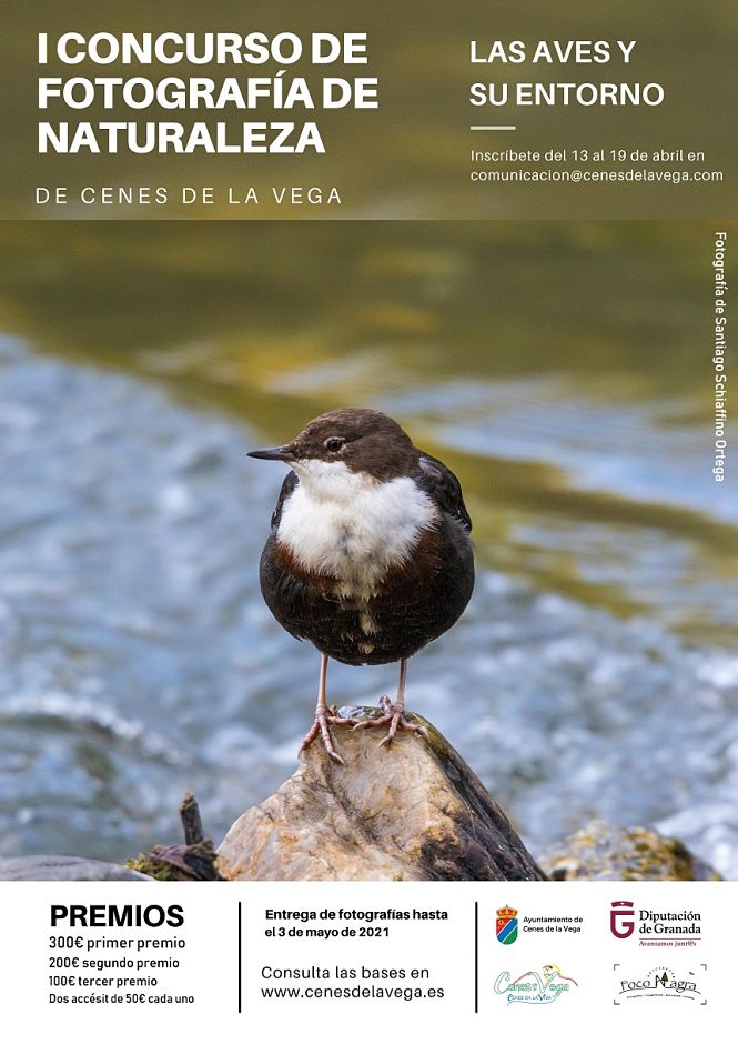 AYUNTAMIENTO CENES DE LA VEGA