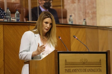 La parlamentaria andaluza de Cs, Concha Insua (CIUDADANOS)