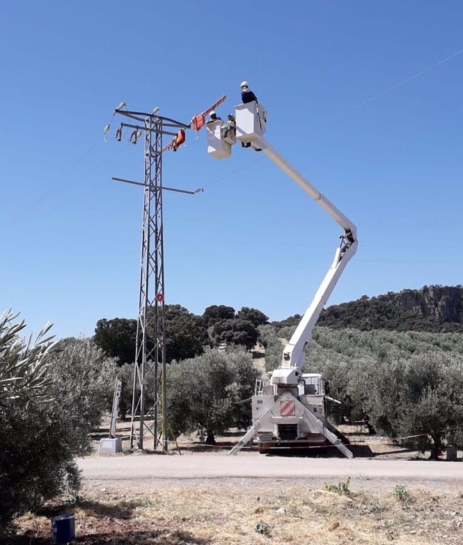 Endesa invierte 20.000 euros en el refuerzo del suministro en los municipios de la comarca de Loja (Granada) (ENDESA)
