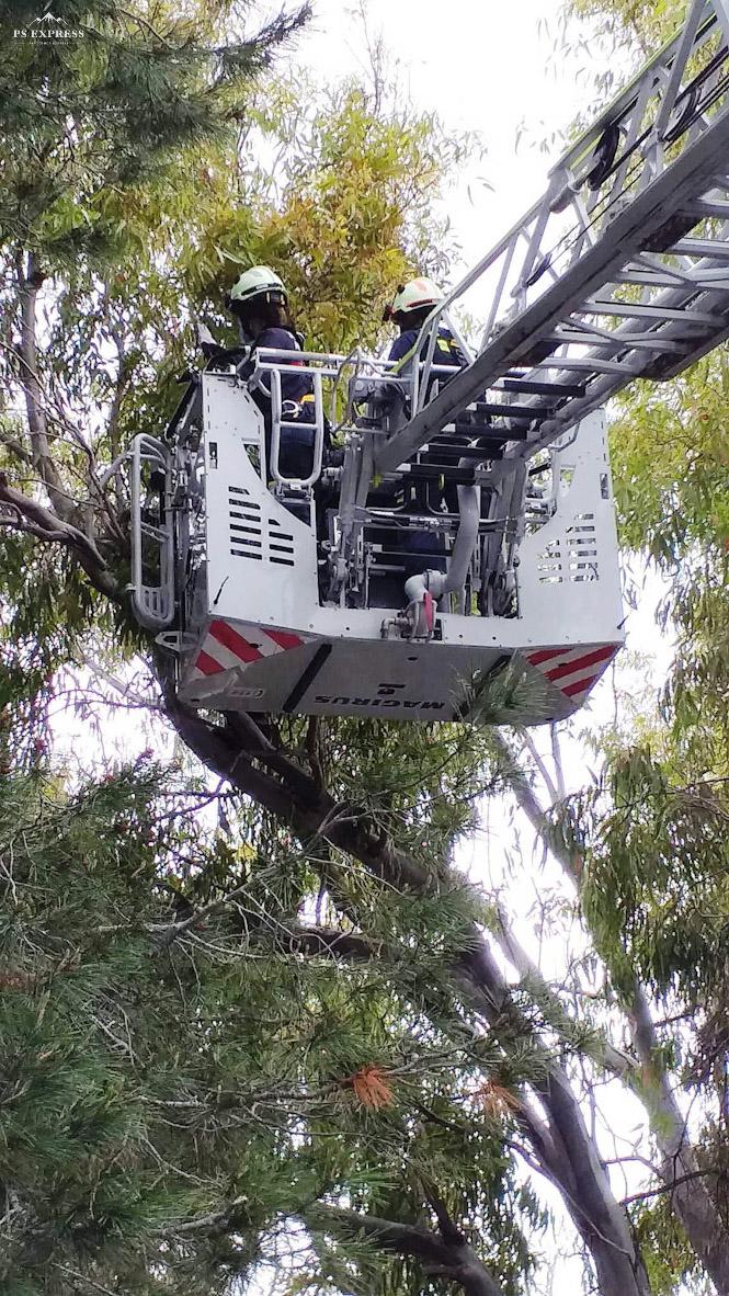 Imagen del rescate (AYTO. ALMUÑÉCAR)