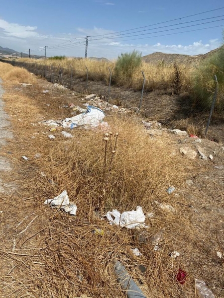 Camino rural de Pinos Puente (PP)