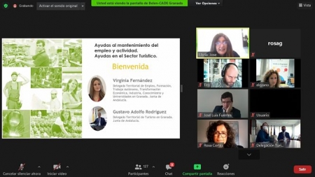 Imagen de la reunión telemática (JUNTA) Imagen de la reunión telemática (JUNTA)