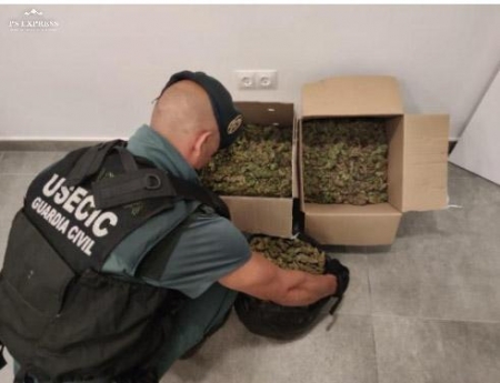 Un agente de la Guardia Civil con la marihuana (GUARDIA CIVIL)