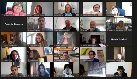 Imagen de la reunión telemática (R. MARTÍNEZ / DIPGRA))