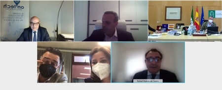 Imagen de la reunión telemática (ON GRANADA) Imagen de la reunión telemática (ON GRANADA)