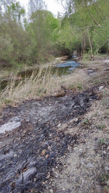 Zona calcinada en los márgenes del Río Castril (JOSÉ JUAN LÓPEZ RÓDENAS) 