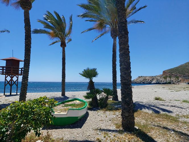 Playa del Sotillo (AYTO. CASTELL DE FERRO) 