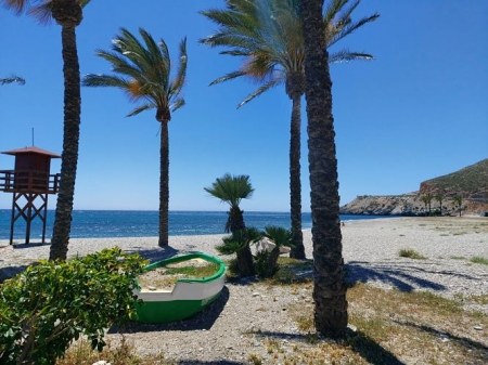 Playa del Sotillo (AYTO. CASTELL DE FERRO) 