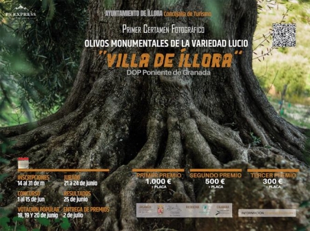 Cartel del certamen fotográfico (AYUNTAMIENTO DE ÍLLORA)