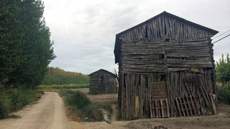Imagen de un paisaje de Vegas del Genil (AYTO. VEGAS DEL GENIL)