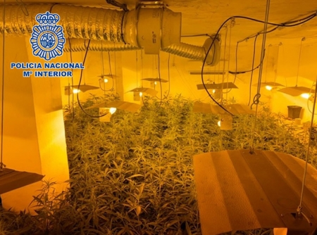 Imagen del zulo donde se ha encontrado la marihuana (POLICÍA NACIONAL) 