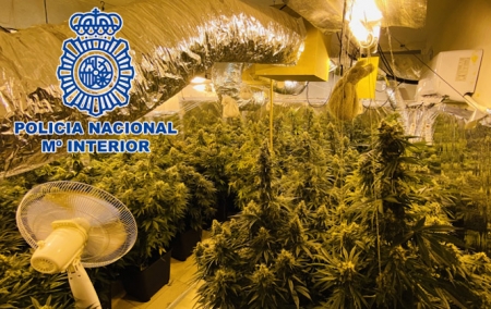 Una de las plantaciones desmanteladas (POLICÍA NACIONAL) 