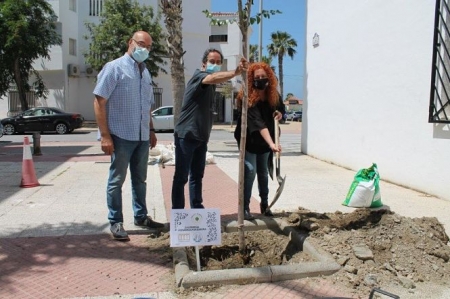Imagen de la plantación del árbol (AYTO. SALOBREÑA) 