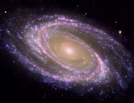 jemplo de galaxia espiral cercana, M81, donde se identifica fácilmente el bulbo, la parte central más rojiza, y el disco (UGR) jemplo de galaxia espiral cercana, M81, donde se identifica fácilmente el bulbo, la parte central más rojiza, y el disco (UGR)