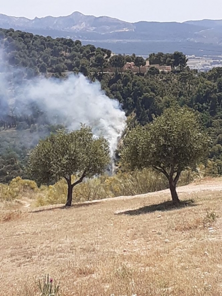 Lugar donde se ha producido el incendio (INFOCA) 