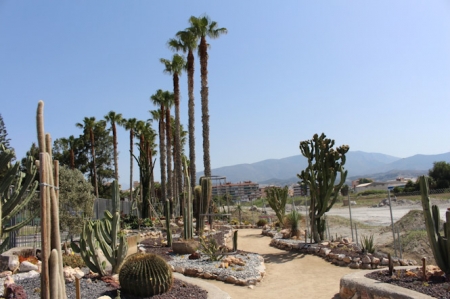 Imagen del Jardín de Cactus (AYTO. MOTRIL) 