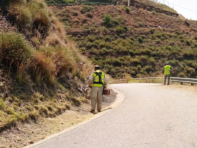 Operarios en tareas de desbroce (AYTO. ALMUÑÉCAR)