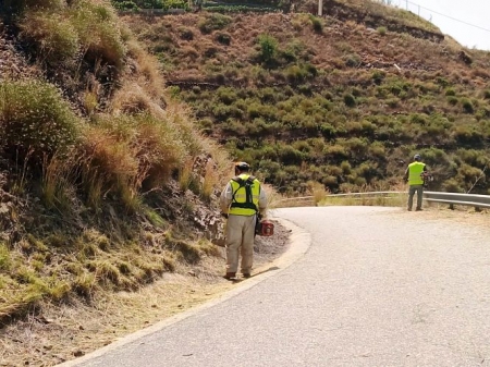 Operarios en tareas de desbroce (AYTO. ALMUÑÉCAR)