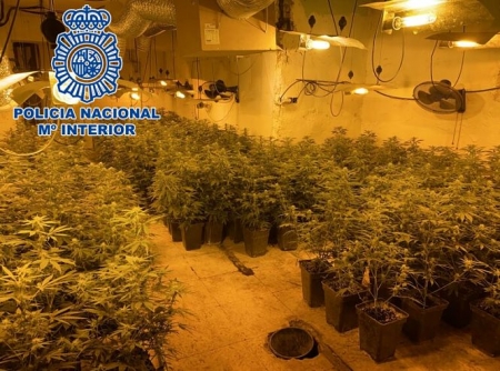 Imagen de una de las plantaciones desarticuladas (POLICIA NACIONAL)