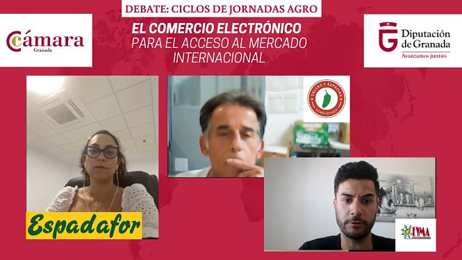  Imagen de las jornadas telemáticas (CÁMARA GRANADA)