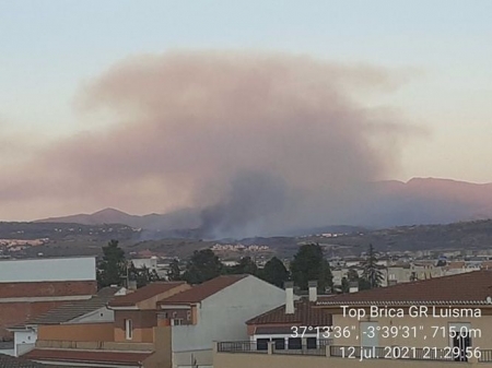 Incendio forestal en Jun (PLAN INFOCA) 