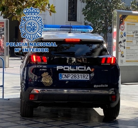 Imagen de un coche policial (POLICÍA NACIONAL)